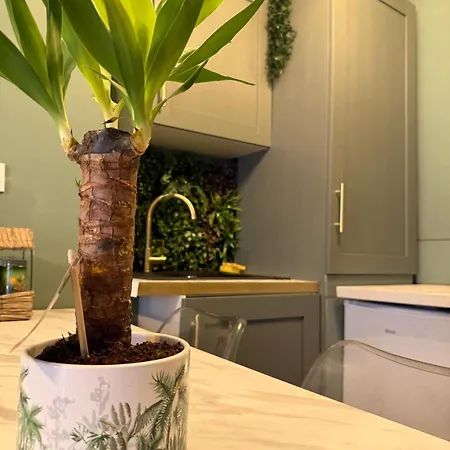 Appartement Le Jungle