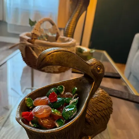 Le Jungle Appartement *