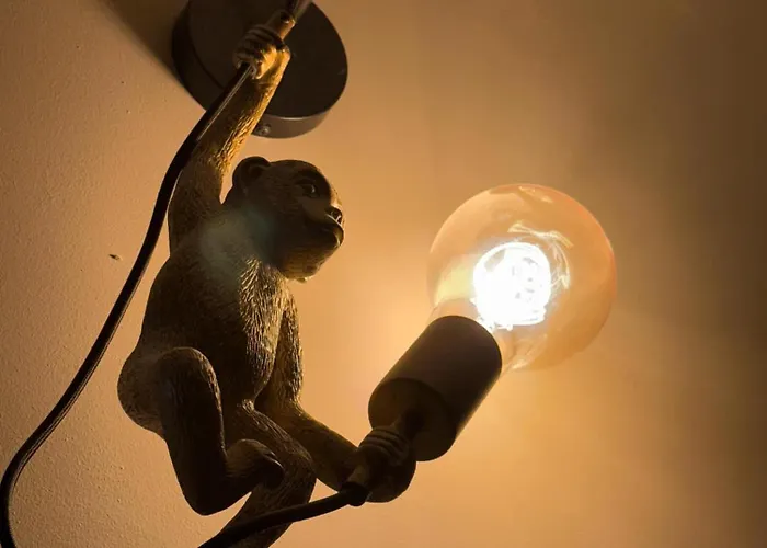 Le Jungle * Лурд