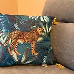 Le Jungle * Lourdes