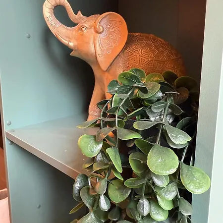 Le Jungle Apartamento *